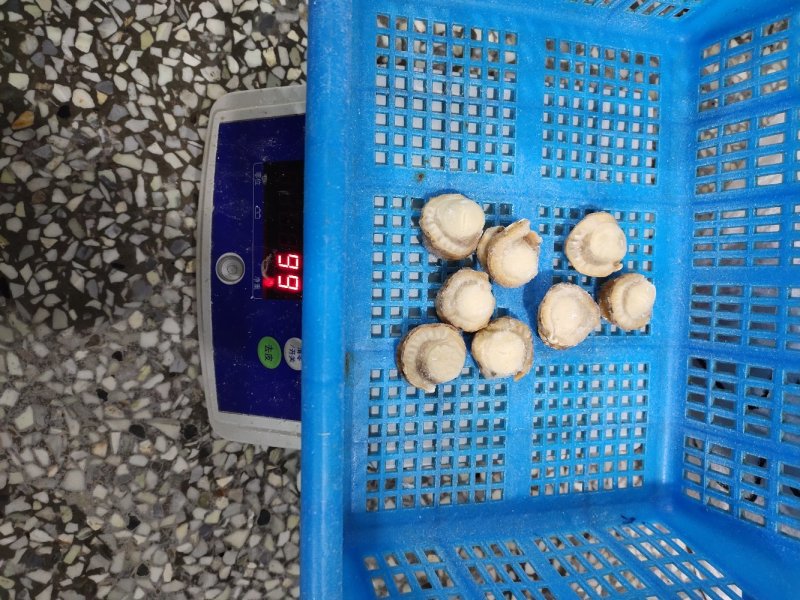 夏邑贝贝肉去脏干冰肉自有养殖基地坐标大连