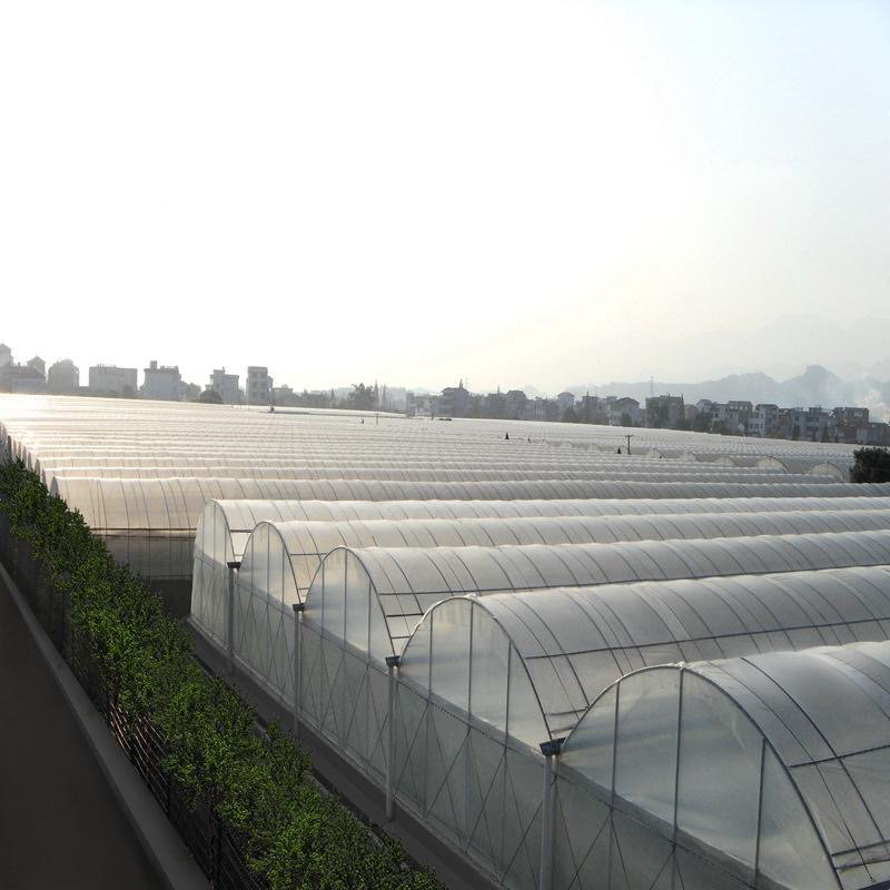 种植棚联栋大棚玻璃温室大棚厂家直销