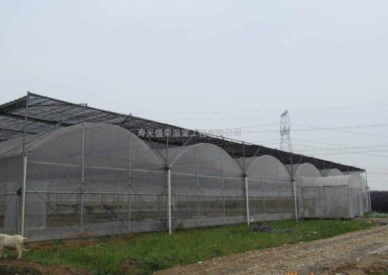 种植棚联栋大棚玻璃温室大棚厂家直销