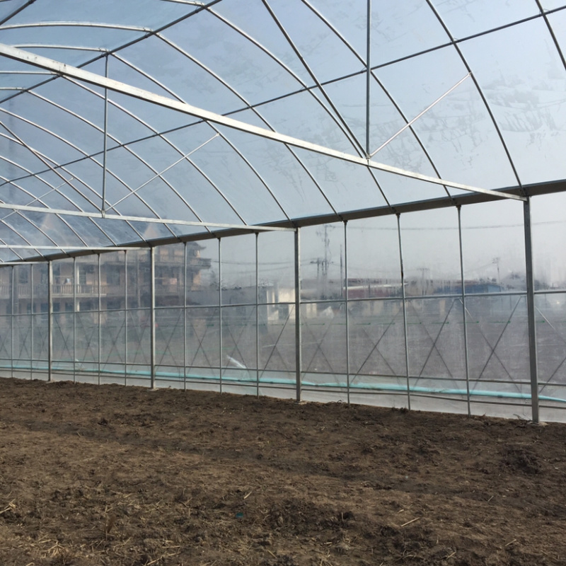 种植棚联栋大棚玻璃温室大棚厂家直销