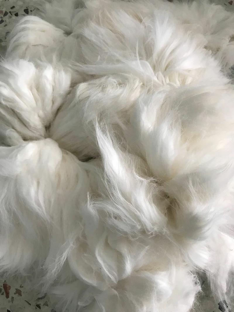 春堂兔毛有限公司常年供应长毛兔兔毛原料，机梳兔绒.,，