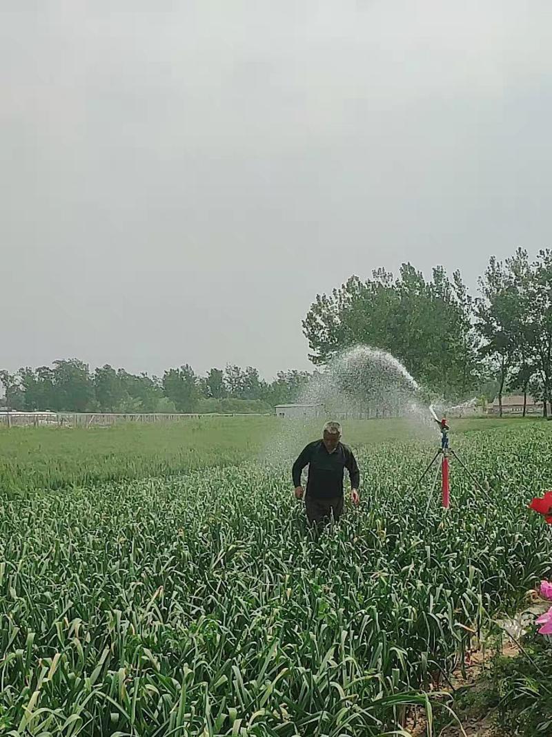 农业灌溉设备摇臂喷枪园林大型自动旋转摇臂喷灌喷设备