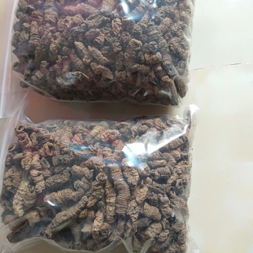 野生巴戟干货鲜货38斤泡酒煲汤1斤装品质好价格低
