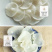 大量批发东北精品玉木耳，洁白如玉，
