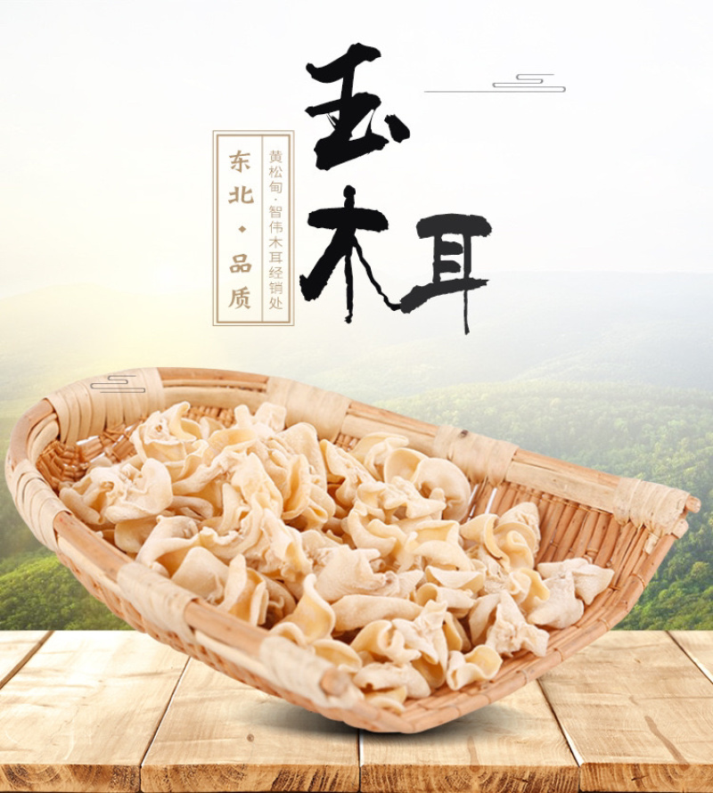 大量批发东北精品玉木耳，洁白如玉，
