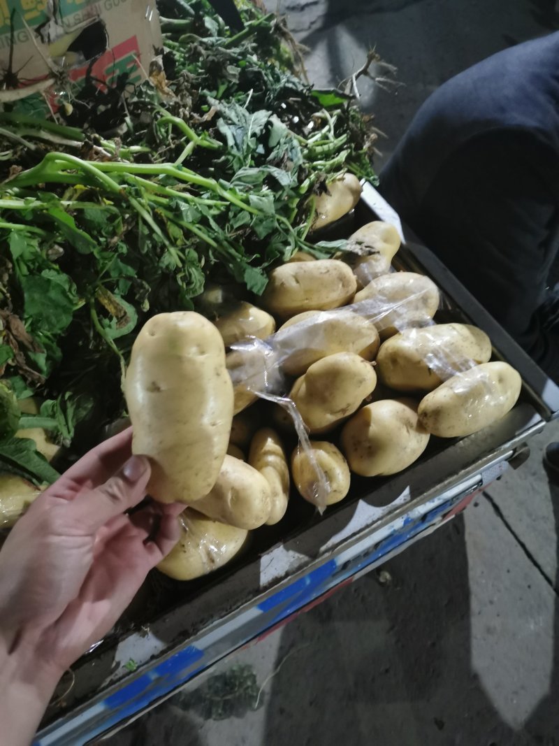 精品荷兰土豆，黄皮黄心，产地直发大量供应支持线上交易