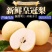 【新梨】皇冠梨一级，二级，型号齐全，量大从优，诚信第一