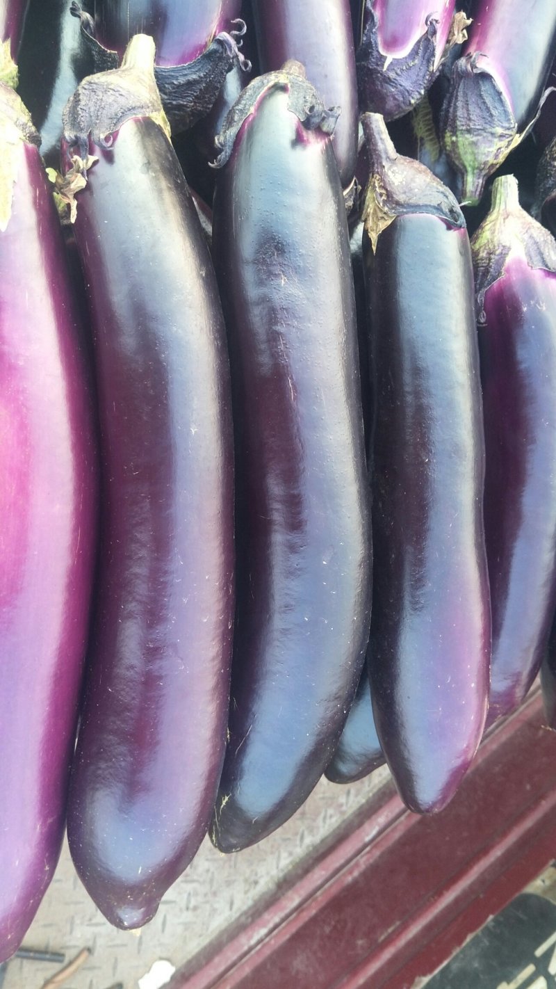 岱岳区茄子🍆，大量上市了，量大，