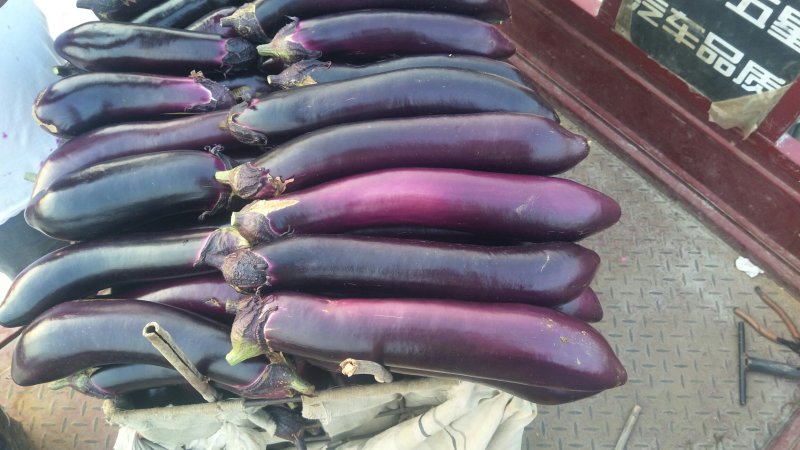 岱岳区茄子🍆，大量上市了，量大，
