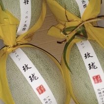 精品鲁厚甜，纹路细腻，口感绵柔纯正，糖度高。