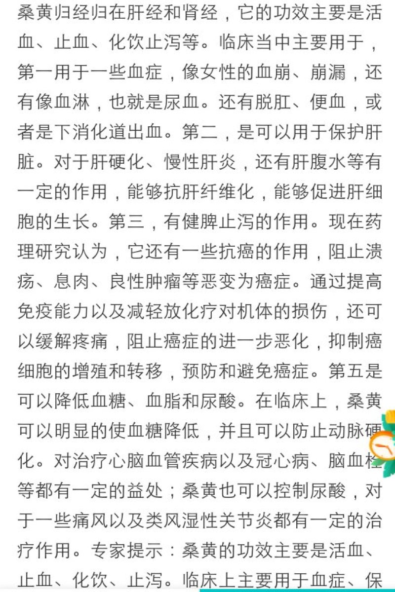 桑黄