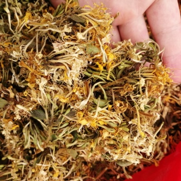大量供应金银花全开花，品质保证，质量不好可退货