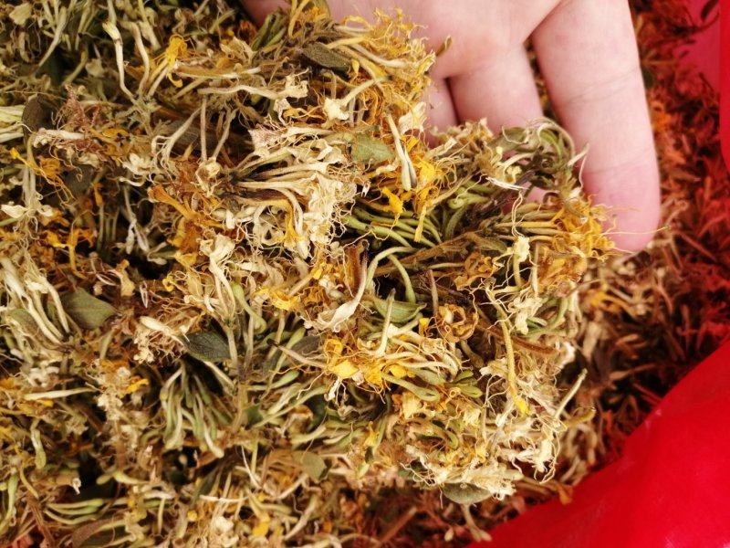 大量供应金银花全开花，品质保证，质量不好可退货