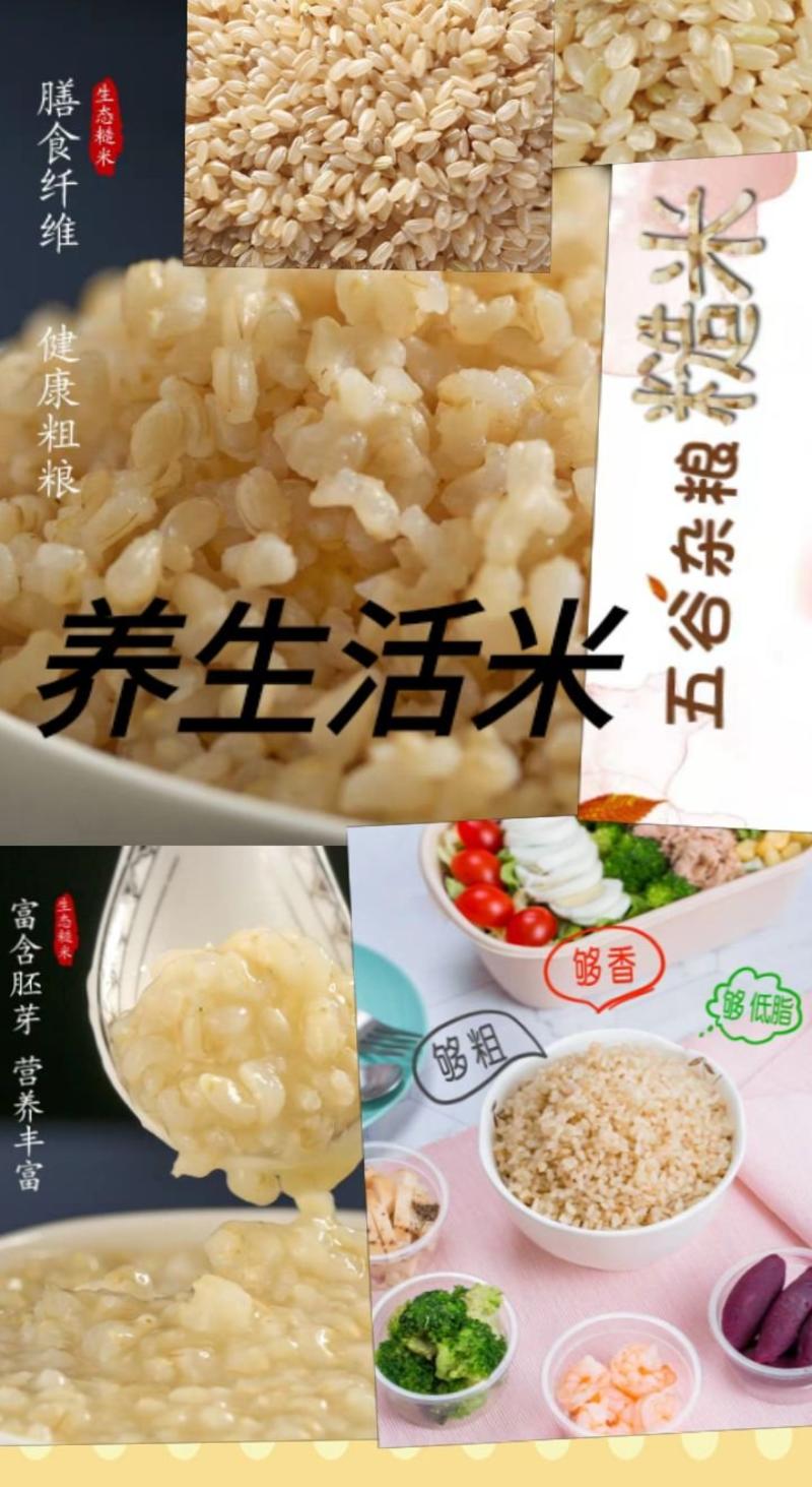 东北糙米三色糙米五色糙米会发芽的糙米包邮