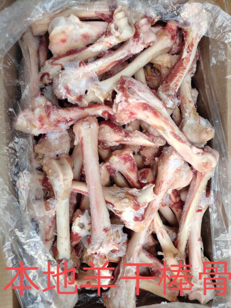 【羊棒骨】绵羊的干棒骨！熬汤吸骨髓专用！常年有货！