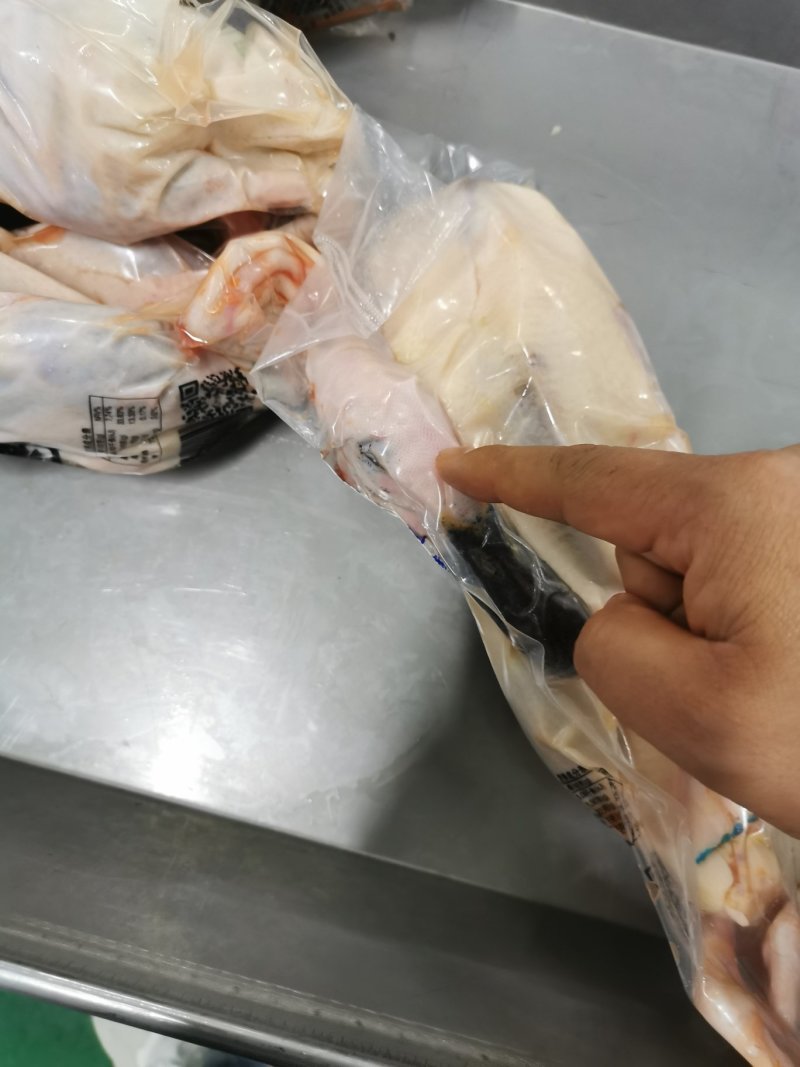 白条绿头鸭
