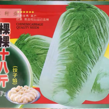 大白菜种子棵棵十八斤大白菜四季播种田园播种