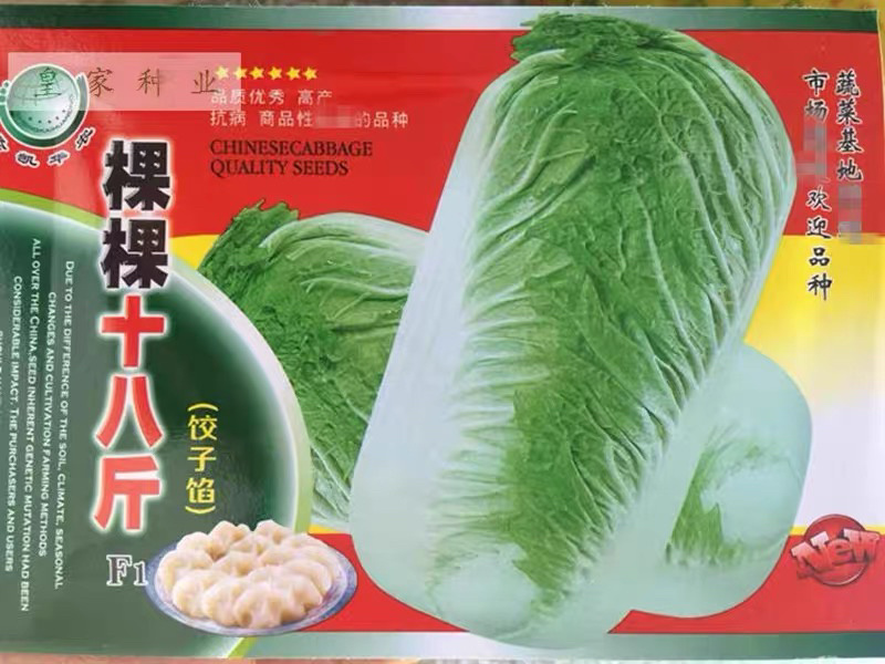 大白菜种子棵棵十八斤大白菜四季播种田园播种
