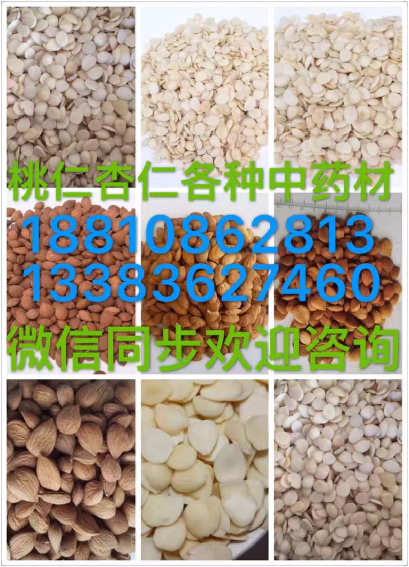脱苦杏仁光中杏仁