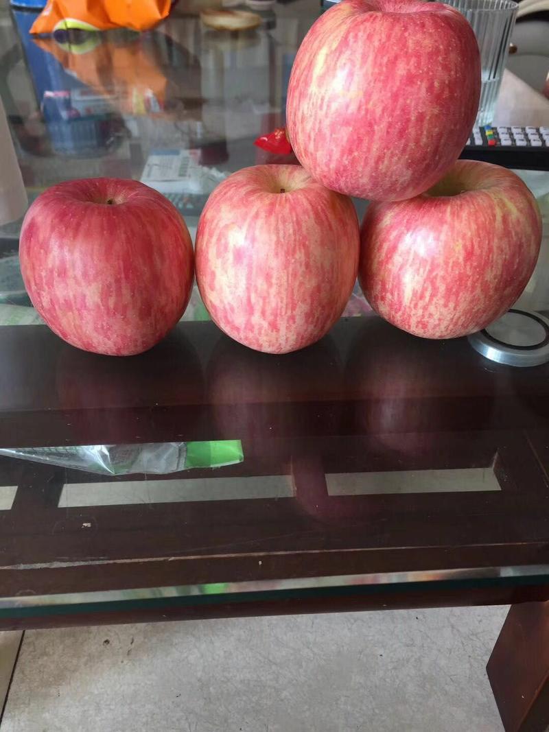 供应红富士苹果《坏烂包赔》保证质量全国发货