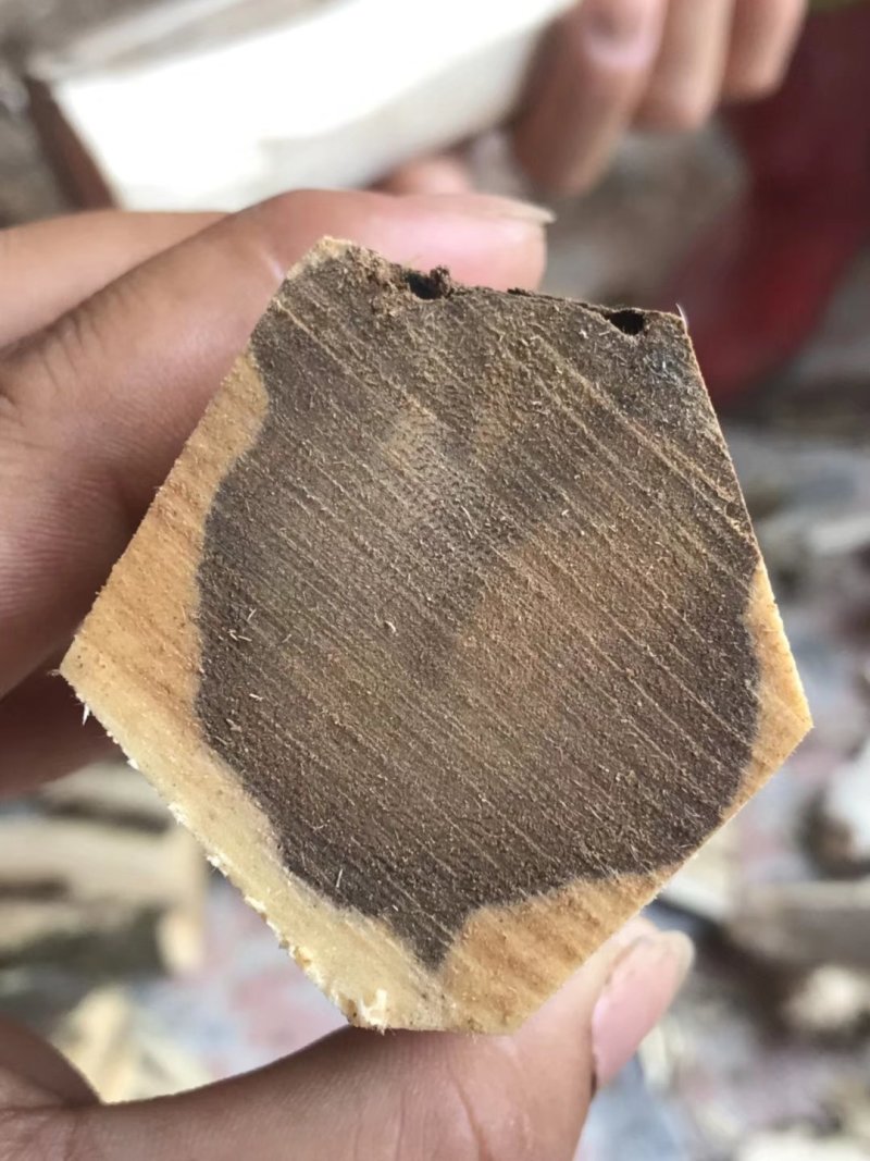 沉香，线香，烟针，薄片，虫漏，等各类沉香制品，