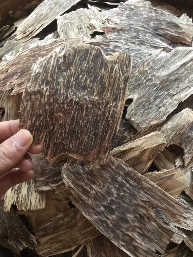 沉香，线香，烟针，薄片，虫漏，等各类沉香制品，