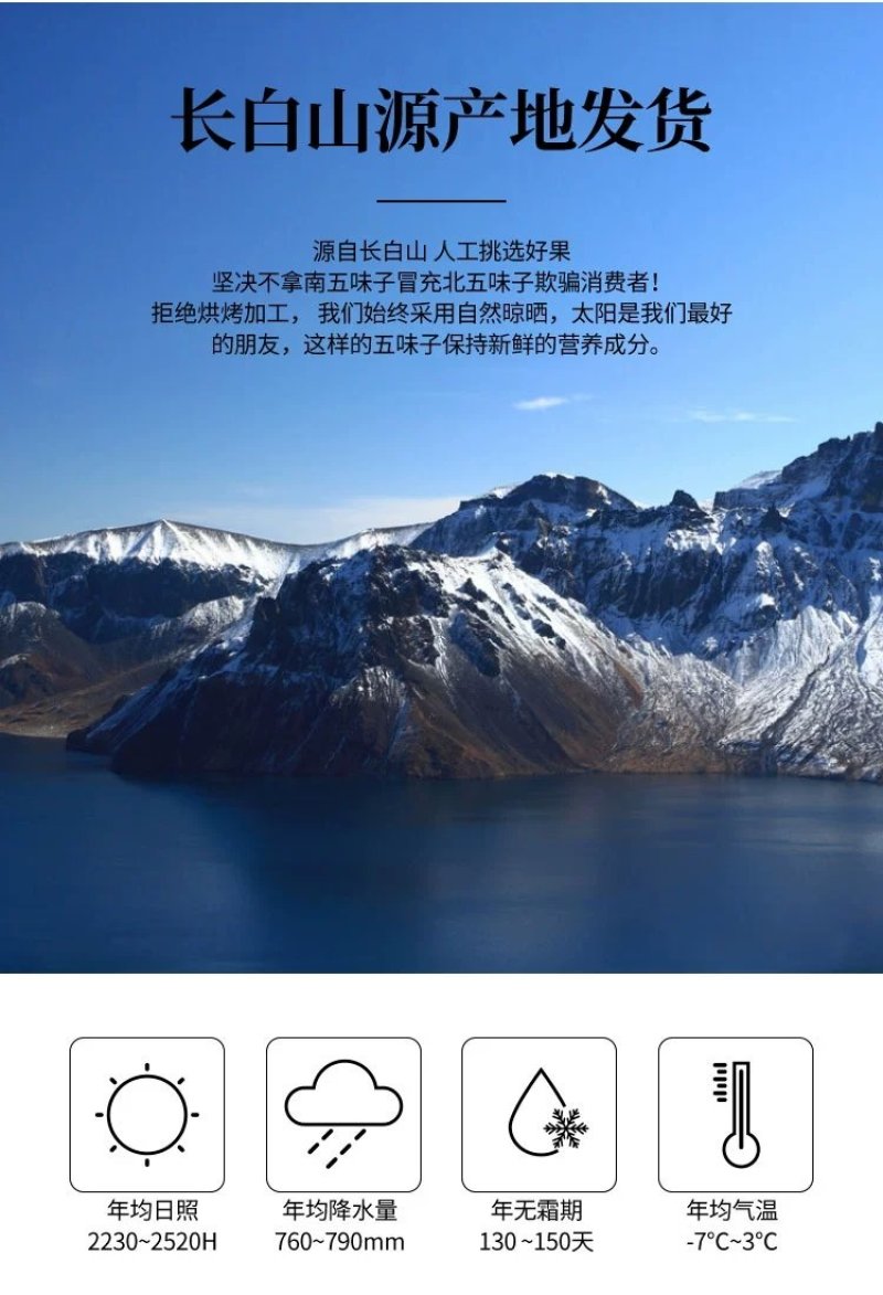 五味子长白山原产地批发直邮无磺无染色放心购买
