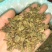 沉香茶，奇楠茶，基地直供