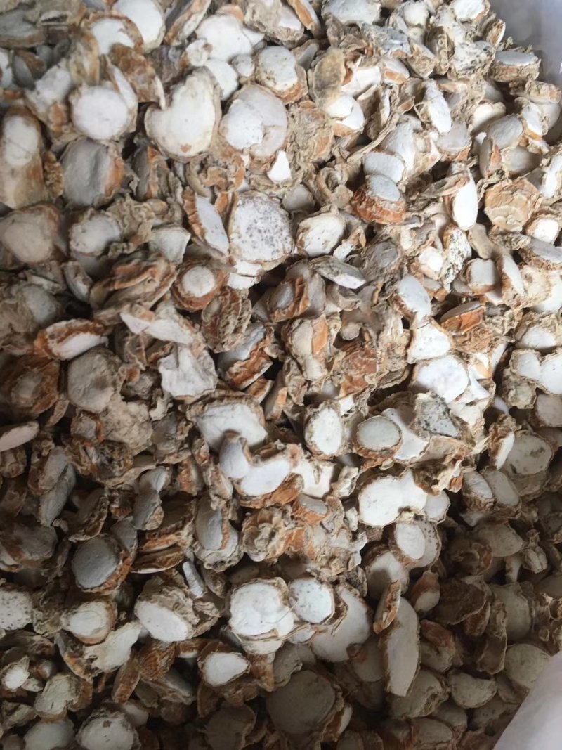 山奈干沙姜水洗小园片原装货足干调味香料卤肉炖肉产地一手货