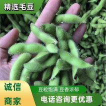 【精品推荐】翠绿宝毛豆大量上市一手货源可视频看货