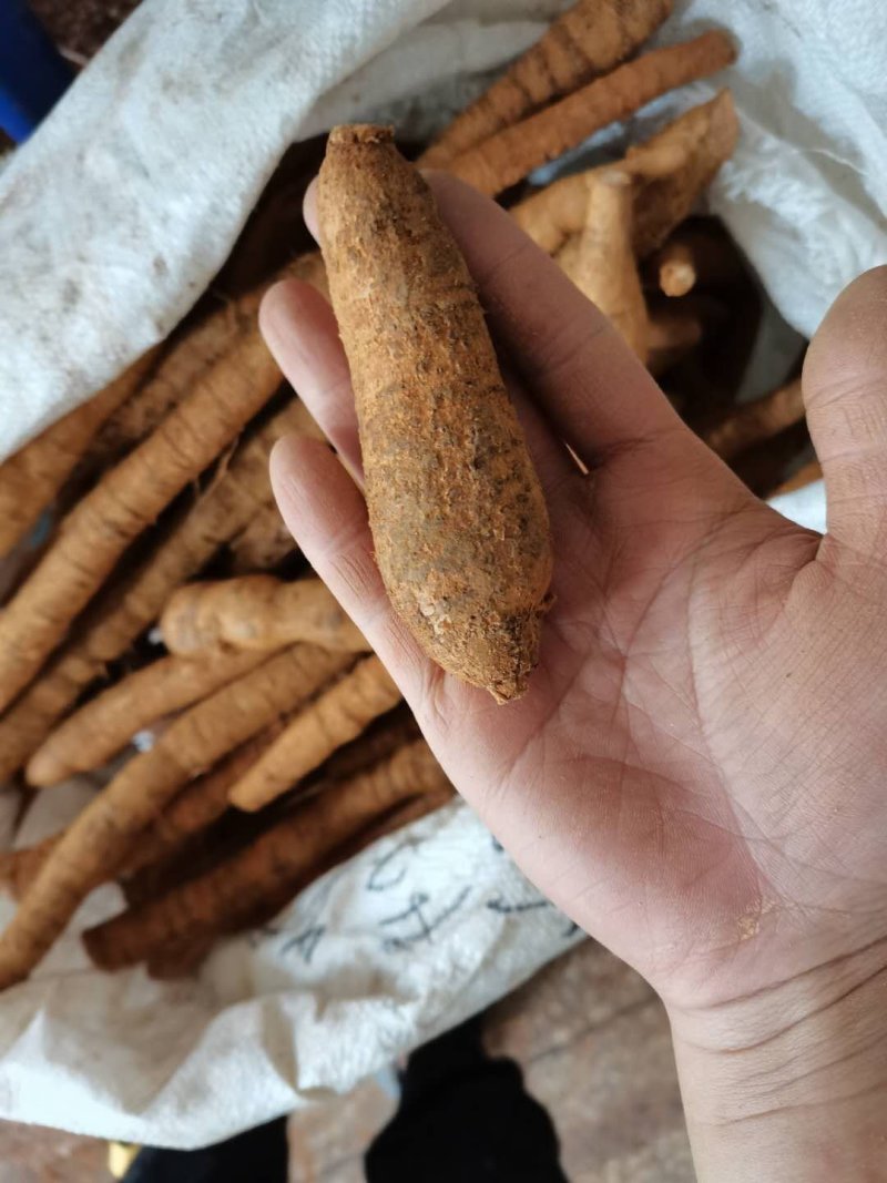 牛大力看的上的可以联系我