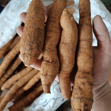 牛大力看的上的可以联系我