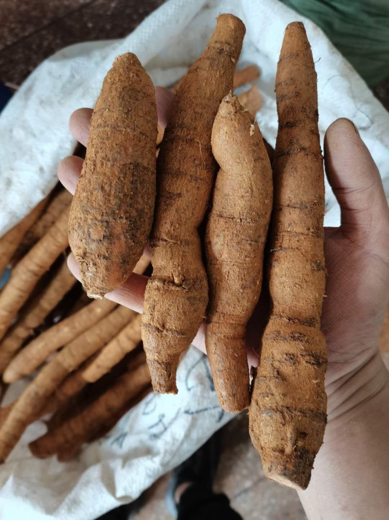 牛大力看的上的可以联系我