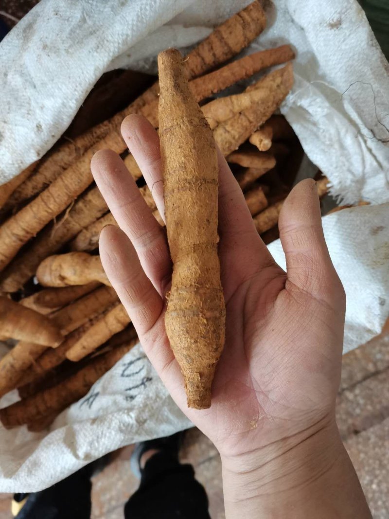 牛大力看的上的可以联系我