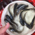 优选南方大口鲶鱼苗杂交大口鲶驯化饲料快大质量保证