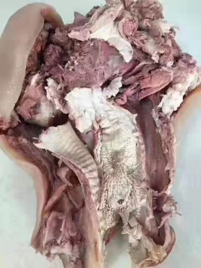 【清真】全熟牛头肉去骨原味牛头肉可切块可按客户订做