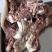 【清真】全熟牛头肉去骨原味牛头肉可切块可按客户订做