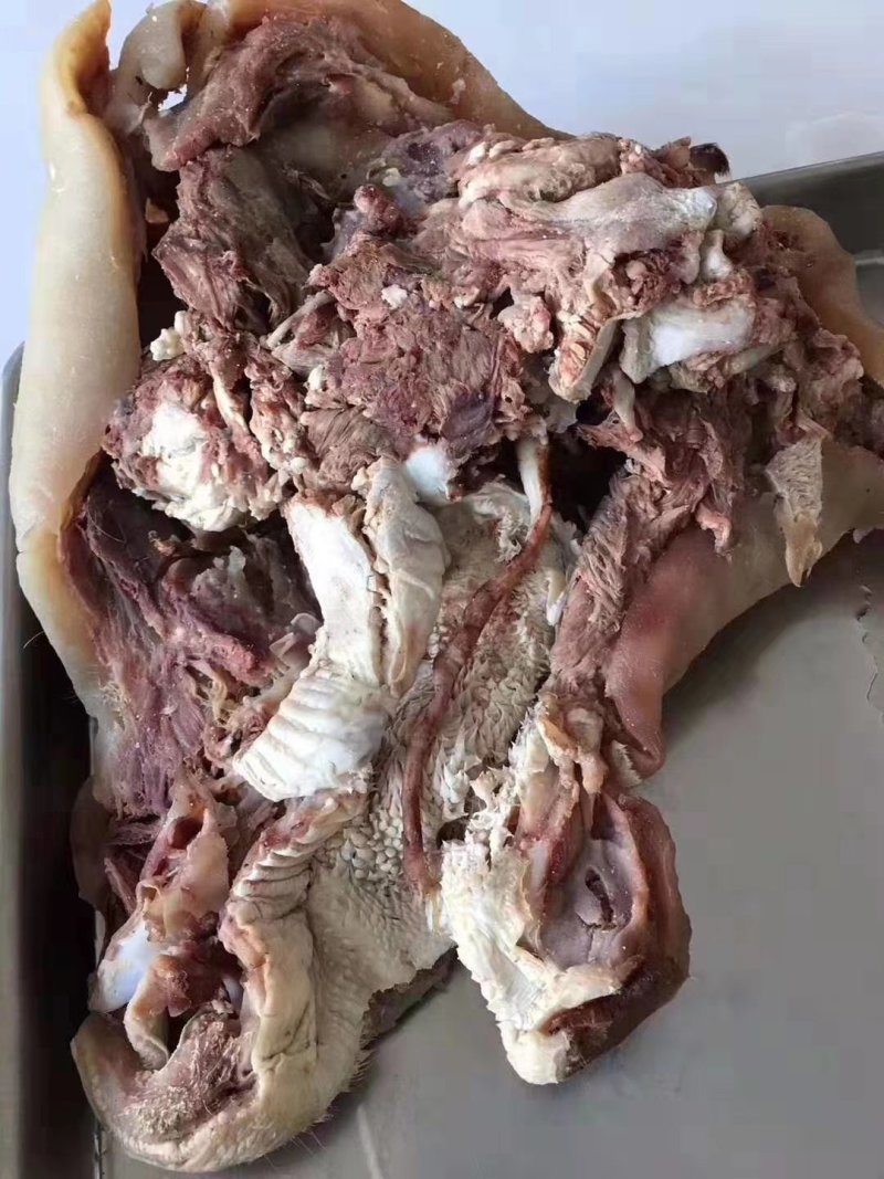 【清真】全熟牛头肉去骨原味牛头肉可切块可按客户订做