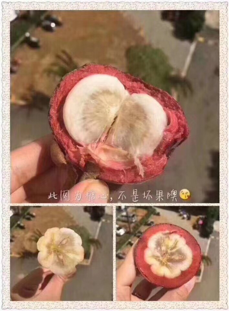 泰国山竹顺丰冷链配送一件代发的