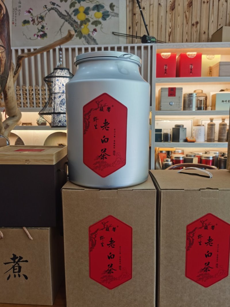 千米高山老白茶