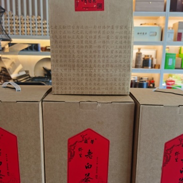 千米高山老白茶