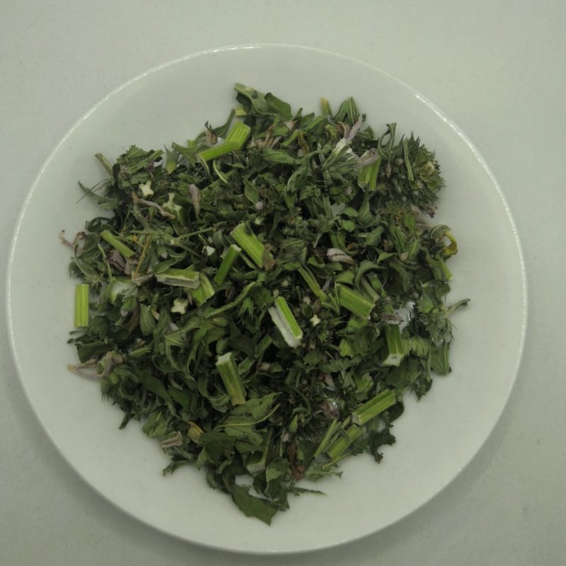 中药材益母草产地货源益母草坤草新货颜色好