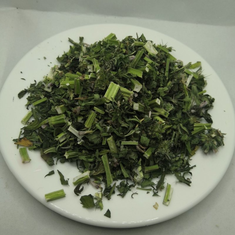 中药材益母草产地货源益母草坤草新货颜色好