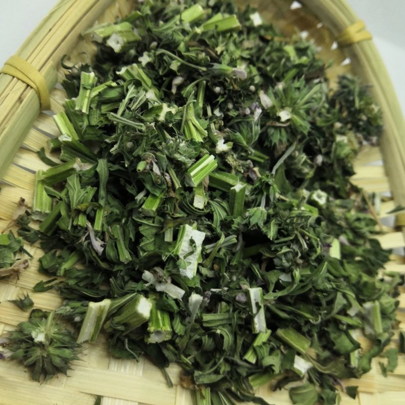 中药材益母草产地货源益母草坤草新货颜色好