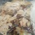 2块钱一斤饲料羊杂羊杂羊下货全熟水煮羊杂