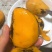 广西芒果鸡蛋芒小台农一件代发小芒果