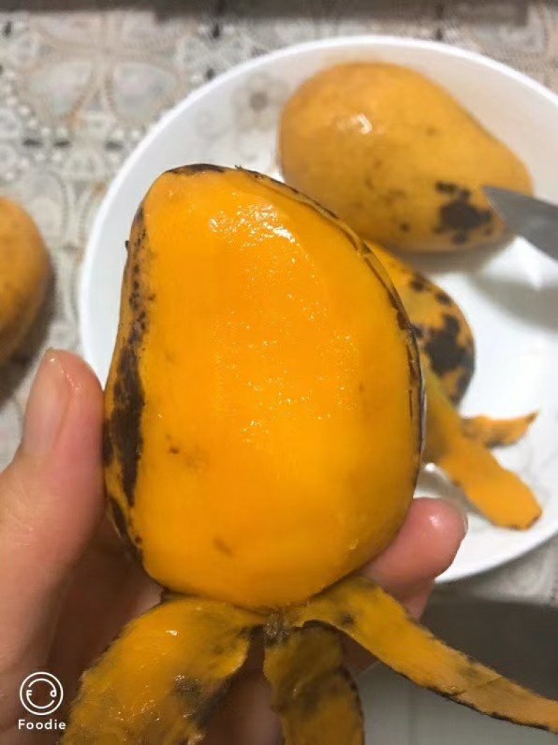 广西芒果鸡蛋芒小台农一件代发小芒果