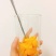 广西芒果鸡蛋芒小台农一件代发小芒果