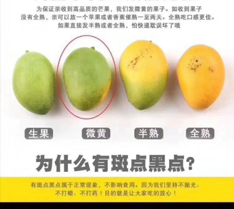 广西芒果鸡蛋芒小台农一件代发小芒果