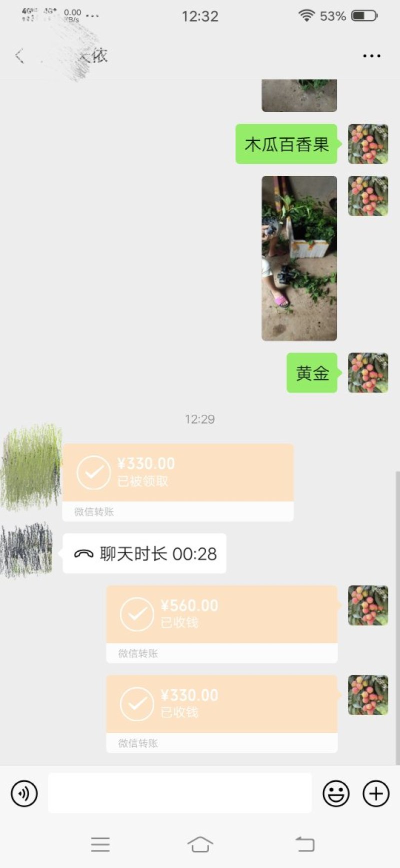 木瓜百香果苗香蜜百香果苗正品